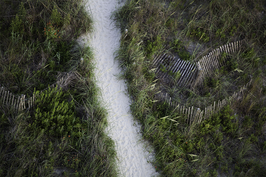30" x 20" Archival Inkjet Print. Color photograph. Aerial view of beach path. Tall, green grass, sandy path, strip of carpet, falling fences