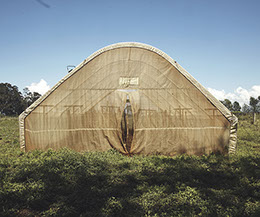 color photograph. green house. nairobi, kenya, aftica. tan tent. landscape. nature. outdoor.