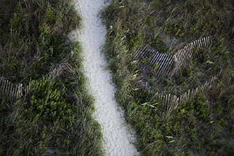 30" x 20" Archival Inkjet Print. Color photograph. Aerial view of beach path. Tall, green grass, sandy path, strip of carpet, falling fences