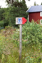 Midsommar Festival in Enviken, Sweden